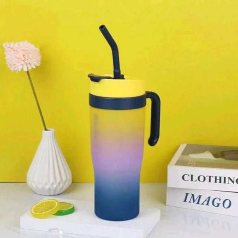 Premium 3 - in - 1 Beauty Water Bottle with Handle - MB ENTERPRIZE - 